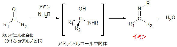 カルボニル化合物へのアミンの求核付加反応による、イミンの合成（1）
