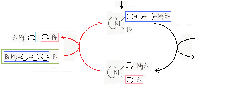 ニッケル錯体を触媒として用いたポリアレーンの合成その６