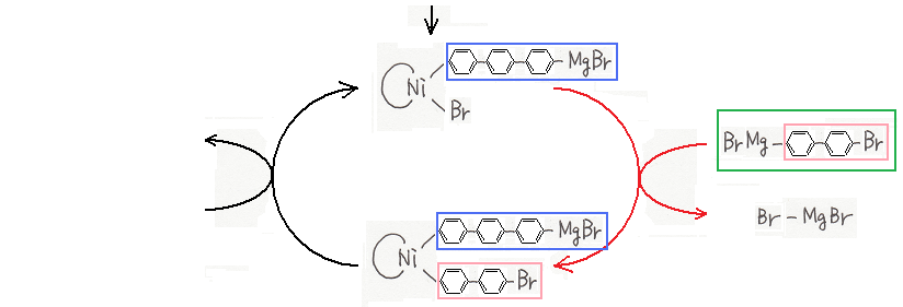 ニッケル錯体を触媒として用いたポリアレーンの合成その７